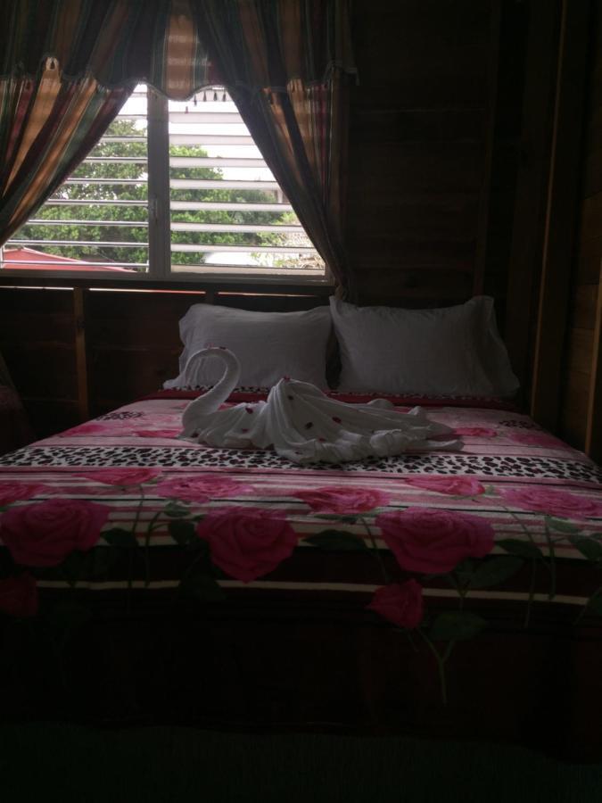 Matus Guest House San Ignacio Exteriör bild